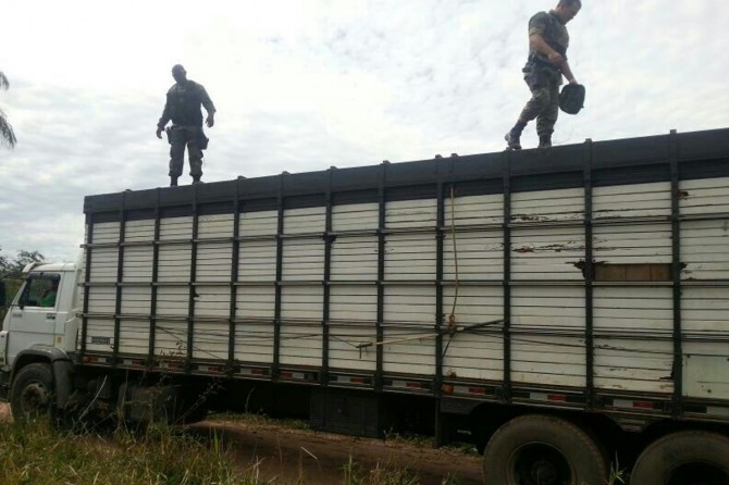 Um dos caminhões apreendidos numa área rural de Porto Esperidião