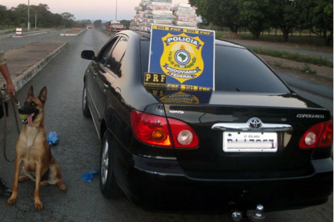 Conan: cão apontou aos policiais onde estava a droga