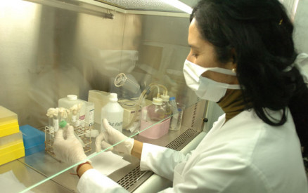Em Mato Grosso, casos de dengue chegam a quase 26 mil este ano
