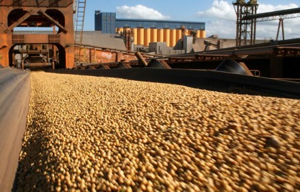Economia dos seis estados foi impulsionada pelo agronegcio