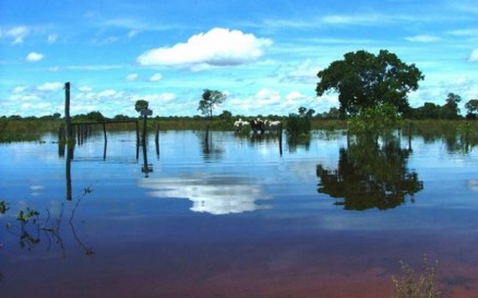 Profissionais tamb�m fizeram passeio nas �guas do Pantanal