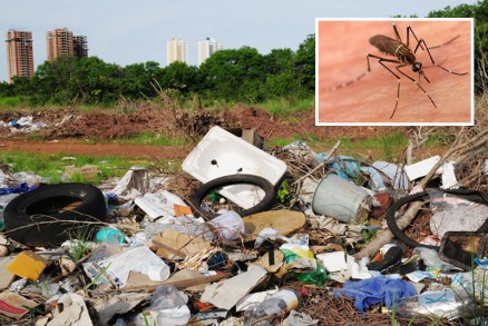 Dengue tipo 4 j foi registrada em Cuiab, Vrzea Grande e Nobres