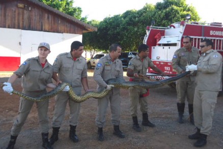 No caso de picada por um animal pe�onhento na regi�o do Vale do Rio Cuiab� � preciso que a pessoa v� direto ao Pronto Socorro de Cuiab