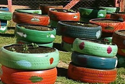 Professores agora querem construir jardim com pneus retirados das ruas