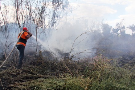  Desde 24 de agosto, a Brigada de Incndio de Cuiab trabalha em parceria com a Delegacia de Meio Ambiente