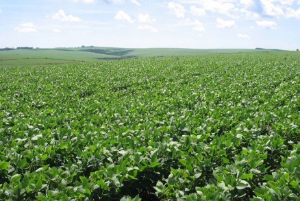 Agronegcio impulsionou economia dos dois municpios