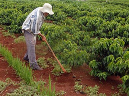 Nota foi emitida pelo Sindicato dos Trabalhadores do Sistema Agrcola, Agrrio, Pecurio e Florestal de Mato Grosso