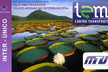 Esse carto  recomendado apenas para os passageiros que utilizam eventualmente as linhas