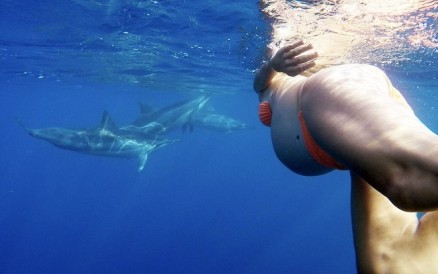 Gestante norte-americana deseja dar � luz dentro do oceano e com a ajuda de golfinhos