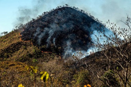Bombeiros e brigadistas atuam no Parque Nacional de Chapada 