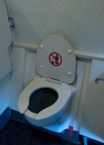 Casal foi flagrado no min�sculo banheiro da aeronave