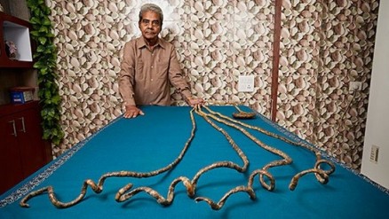 Divulgao/Guinness World Records