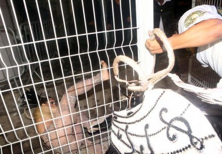 Ju Isen sendo expulsa por membros da escola de samba, no Anhembi