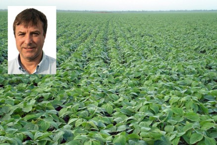 Nelson Vigolo, presidente do Grupo Bom Jesus, que busca acordo com seus credores