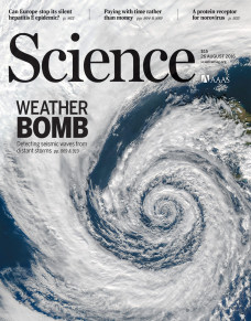 Capa da revista 'Science' desta semana destacou a pesquisa