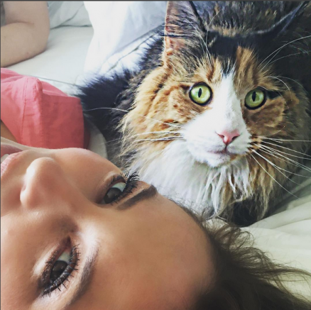 A atriz Paolla Oliveira, que postou foto nas redes sociais com seu gato