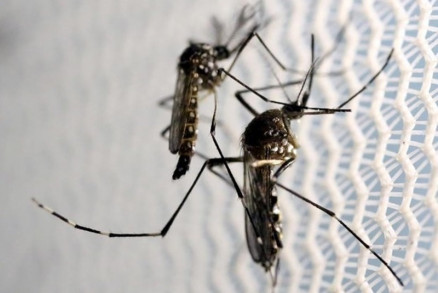 Mato Grosso registrou 6.128 casos de dengue