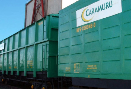 caramuru