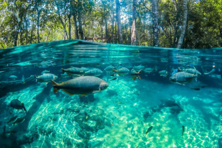 O Distrito de Bom Jardim vai ter o turismo impulsionado
