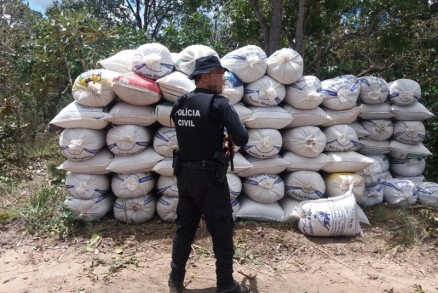 As sacas de soja recuperadas pela Polcia Civil no interior do Estado
