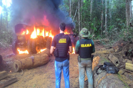 As toras seriam destinadas a madeireiras da regio
