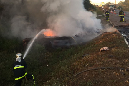 O Corpo de Bombeiros esteve no local para combater s chamas
