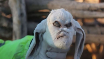 O cabrito morreu minutos aps o parto