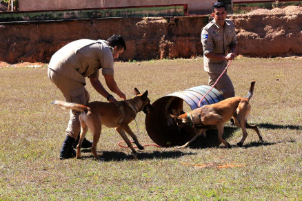 Ces passam por treinamentos para auxiliar em salvamentos