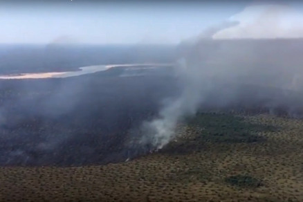 O incndio j atingiu 1200 hectares do Parque Estadual Araguaia