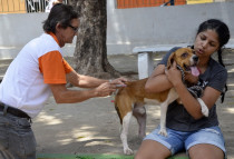 Sade de Cuiab realiza Dia D da Vacinao Antirrbica no prximo sbado
