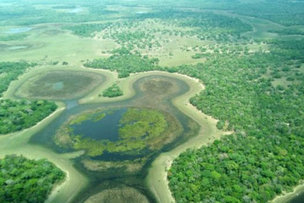 Turismo atrai visitantes de todo o mundo e  uma das principais fontes de renda no Pantanal