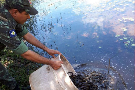 O perodo de defeso da piracema em MT segue at o fim do ms