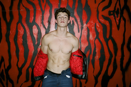 Shawn Mendes responde perguntas ntimas em programa