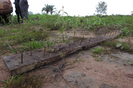 Armadilha feita de madeira e pregos pelos criminosos furou pneus de viatura da Polcia