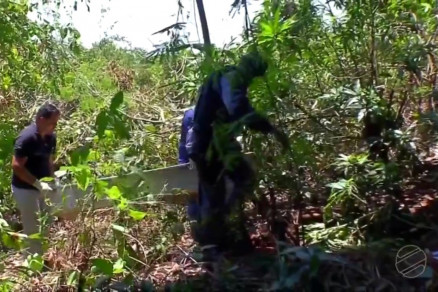 Corpo de homem  encontrado embaixo de ponte