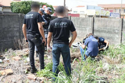 Percia Tcnica (Politec) recolheu ossada e ir tentar identificar a vtima