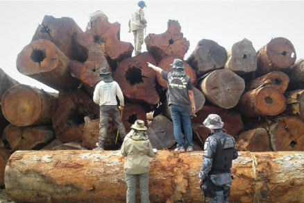 A madeira apreendida no distrito de Trs Fronteiras, no Municpio de Colniza