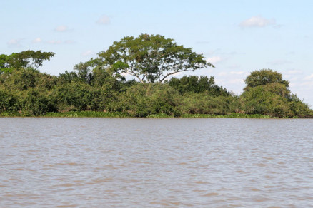A Baa de Chacoror  uma das principais atraes tursticas do Pantanal