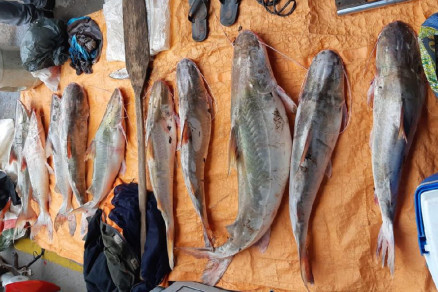 Foram apreendidos dez peixes, junto a dois pescadores