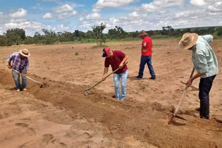Correo com calcrio, esterco de bovino curtido e adubao qumica ser realizada no solo 