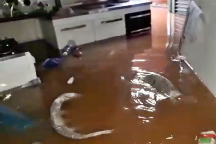Wender Genaro gravou vdeo e mostrou a casa completamente alagada