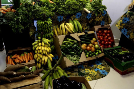As opes de frutas disponveis em maior abundncia entre setembro e dezembro