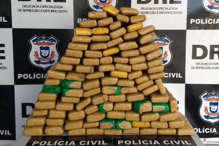 Delegacia retirou 310 kg de circulao na regio metropolitana apenas este ano