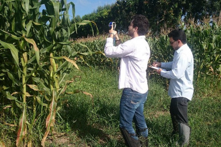 Para verificar se havia variao dos valores ao longo da rea de experimento foi utilizada a tcnica da geoestatistica