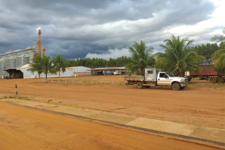Alm das safras de milho, soja e algodo, a Marab atua na agroindstria