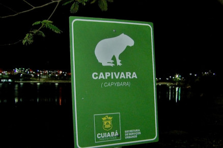 Placas de sinaliza��o ser�o instaladas nas proximidades do Parque Tia Nair e Parque das �guas