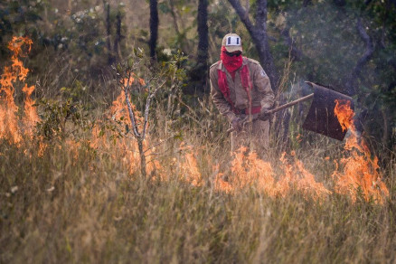 O combate ao fogo comeou na semana passada