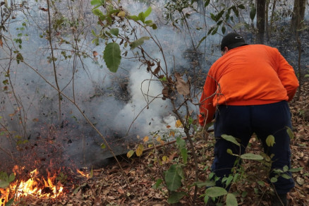 Fogo atingiu um terreno baldio ao lado de condomnio