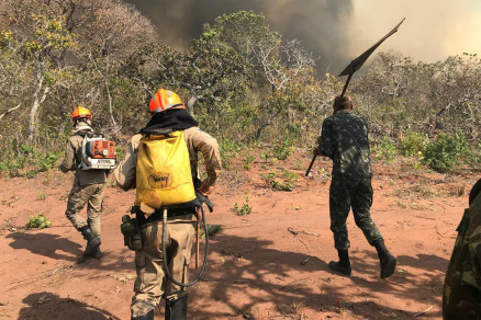 Mato Grosso aparece como campeo nacional em focos de calor 