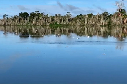 Rio amanheceu com milhares de peixes mortos